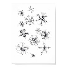 Enkel delikat Snöflingor