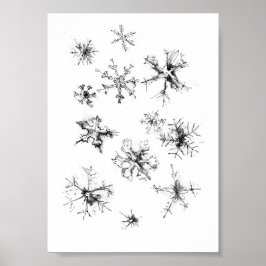 Enkel delikat Snöflingor Poster