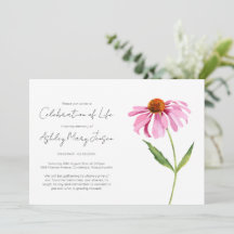 Enkel Echinacea Livets Firande Begravning