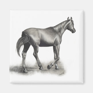 Enkel eftermiddag magnet