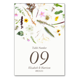 Enkel Elegant Botanisk Vild Flower Bröllop Bordsnummer