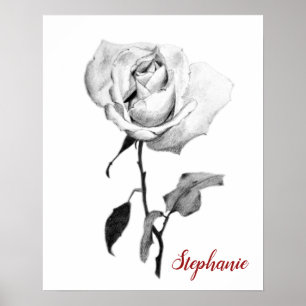 Enkel Elegant Vit ros i svart grafitpenna Poster