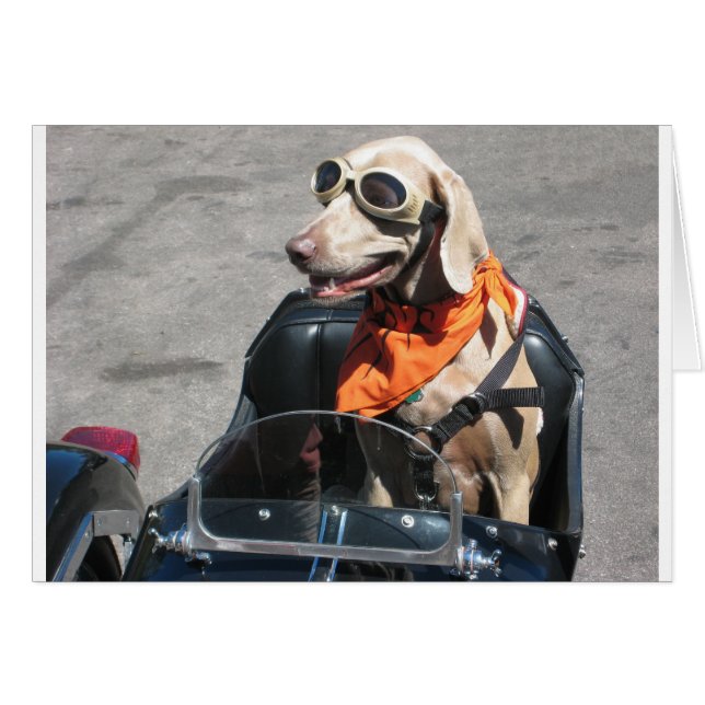 Enkel förare hälsningskort (Framsidan Horizontal)