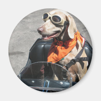 Enkel förare magnet