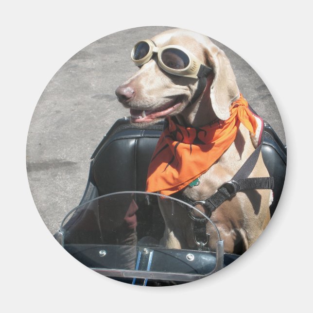 Enkel förare magnet (Framsidan)