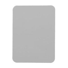 Enkel foto magnet