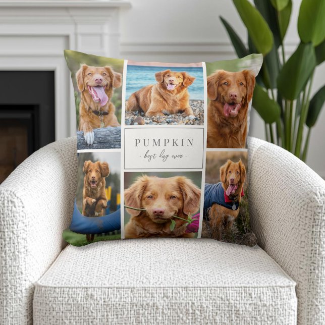 Enkel fotokollage för hundar kudde (Simple Dog Pet Photo Collage Throw Pillow )