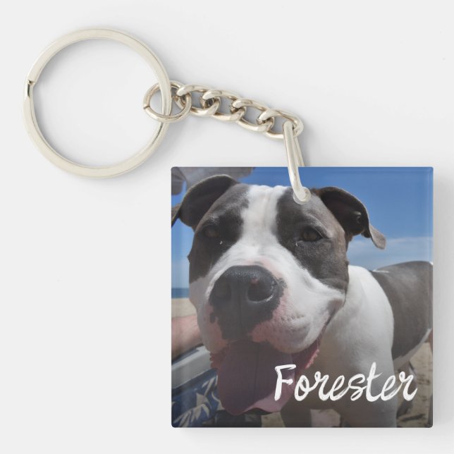 Enkel fotokollage för husdjur (Framsidan)