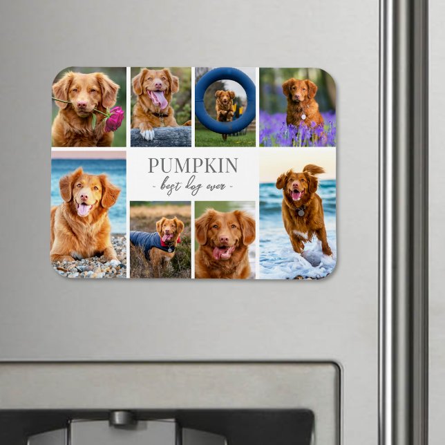 Enkel fotokollage med hundar magnet (Simple Dog Pet Photo Collage jigsaw puzzle)