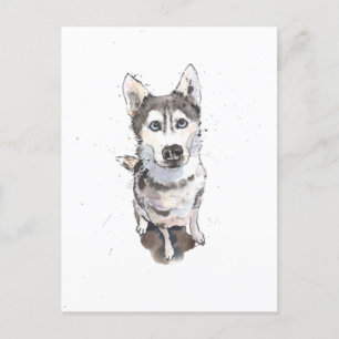 Enkel Grå Husky söt rolig hund Postkort Vykort