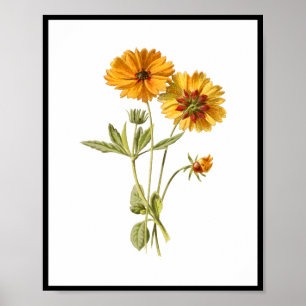 Enkel Gula blommor Blommigt Poster