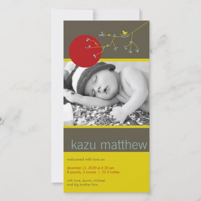 Enkel kapning av födelsetal för fåglar och familj  meddelande (Framsida)