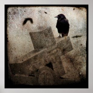 Enkel Kråka Poster