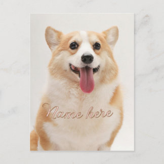 Enkel minimal hund kattemotiv namn foto mall vykort