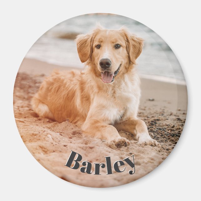 Enkel minimal Pet-Hund Photo Namn Modern Cute Magnet (Framsidan)