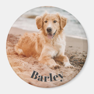 Enkel Minimalistisk Husdjurs Hund Foto Namn Modern Magnet