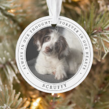 Enkel minnesmärke hund fotohund