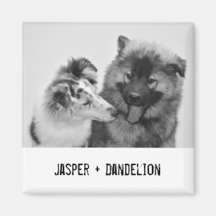Enkel, modern Anpassningsbar Pet eller People Phot Magnet