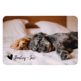 Enkel Modern Fullt Photo Pet-Hund | VÅGRÄT Magnet