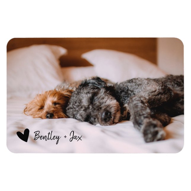 Enkel Modern Fullt Photo Pet-Hund | VÅGRÄT Magnet (Horisontell)