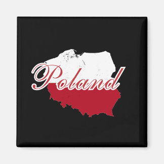 Enkel modern Polen Flagga karta Souvenir Magnet