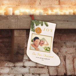 Enkel modern vår första nylanserade Citrus vid jul Liten Julstrumpa