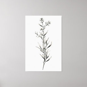 Enkel monokrom Rosemary Sketch Canvastryck