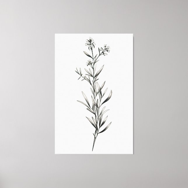 Enkel monokrom Rosemary Sketch Canvastryck (Framsida)