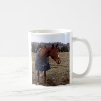 Enkel mugg för blåttblåtthav