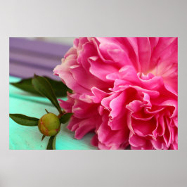 Enkel och Elegant Rosa Peony Flower Botanical Poster
