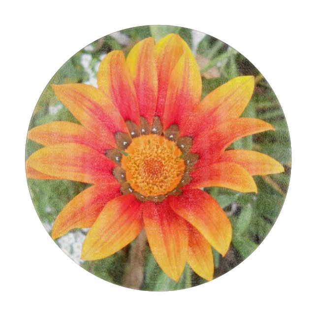 Enkel orange blomma (Framsidan)