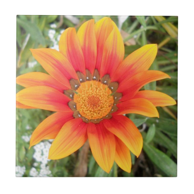 Enkel orange blomma kakelplatta (Framsidan)