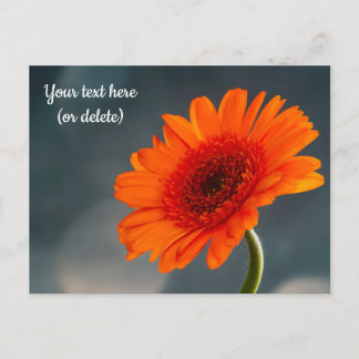 Enkel orange Gerbera vykort