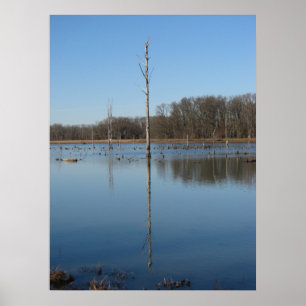 Enkel reflektion poster