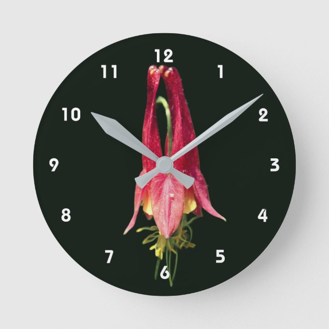 Enkel röd akvilegiflower  rund klocka (Framsida)