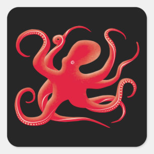 Enkel rödvektor Art Octopus Silhouette Fyrkantigt Klistermärke