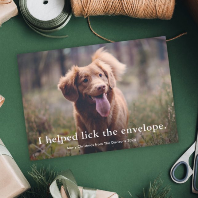 Enkel rolig husdjursjul  julkort (Simple funny pet 3 photo christmas holiday cards.)