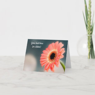 Enkel rosa Gerbera- gratulationskort Kort