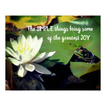 Enkel Sak Frog inspirationsoffert