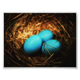 Enkel skönhet fototryck