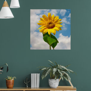 Enkel solrossolrossolcellskanv med botaniskt fotog poster