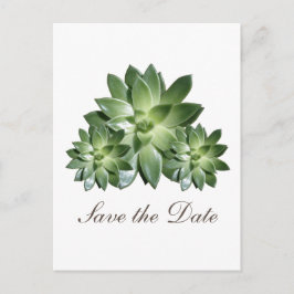 Enkel Sukkulent Spara Datum-inbjudan Meddelande Vykort