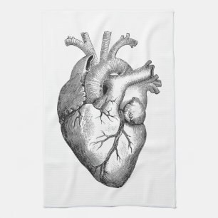 Enkel svart illustration för vitanatomihjärta kökshandduk