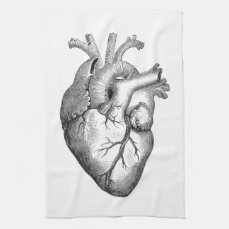 Enkel svart illustration för vitanatomihjärta kökshandduk