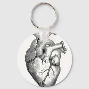 Enkel svart illustration för vitanatomihjärta nyckelring