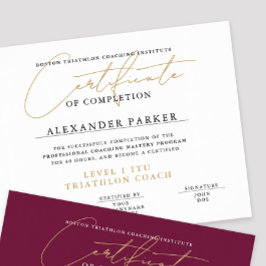 Enkel svart vit guld certifikatutmärkelse diplom poster