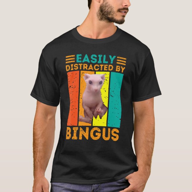 Enkel uppdelad av Bingus Hairless Sphynx Cat T Shirt (Framsida)
