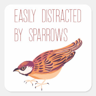 Enkel uppdelad av Sparrows Fyrkantigt Klistermärke