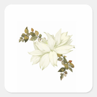 Enkel vit blomma och lövverk fyrkantigt klistermärke