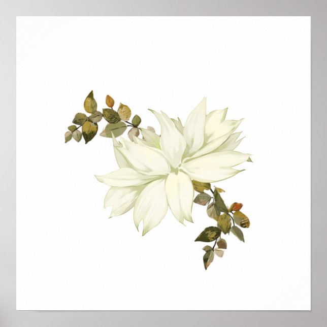 Enkel vit blomma och lövverk poster (Framsidan)